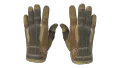 ★ Sport Gloves | Arid (Field-Tested)