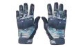 ★ Moto Gloves | Cool Mint (Minimal Wear)