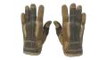 ★ Sport Gloves | Arid (Minimal Wear)