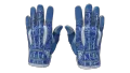 ★ Sport Gloves | Amphibious (Factory New)