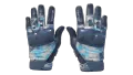 ★ Moto Gloves | Cool Mint (Minimal Wear)