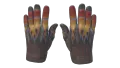 ★ Sport Gloves | Blaze (Factory New)