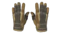 ★ Sport Gloves | Arid (Factory New)