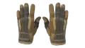 ★ Sport Gloves | Arid (Minimal Wear)
