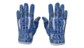 ★ Sport Gloves | Amphibious (Factory New)
