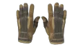 ★ Sport Gloves | Arid (Field-Tested)