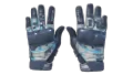 ★ Moto Gloves | Cool Mint (Field-Tested)