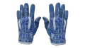 ★ Sport Gloves | Amphibious (Factory New)