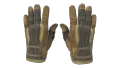 ★ Sport Gloves | Arid (Field-Tested)