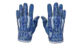 ★ Sport Gloves | Amphibious (Factory New)