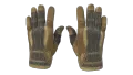 ★ Sport Gloves | Arid (Field-Tested)