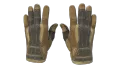 ★ Sport Gloves | Arid (Field-Tested)