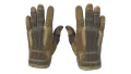 ★ Sport Gloves | Arid (Field-Tested)
