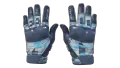 ★ Moto Gloves | Cool Mint (Factory New)