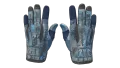 ★ Sport Gloves | Frosty (Factory New)