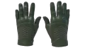 ★ Driver Gloves | Racing Green (Factory New)