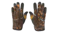 ★ Sport Gloves | Big Game (Factory New)