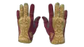 ★ Sport Gloves | Occult (Factory New)