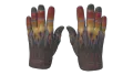 ★ Sport Gloves | Blaze (Factory New)