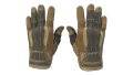★ Sport Gloves | Arid (Field-Tested)