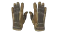 ★ Sport Gloves | Arid (Field-Tested)