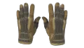 ★ Sport Gloves | Arid (Field-Tested)