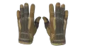 ★ Sport Gloves | Arid (Field-Tested)