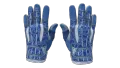 ★ Sport Gloves | Amphibious (Factory New)