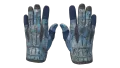 ★ Sport Gloves | Frosty (Factory New)