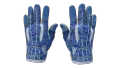 ★ Sport Gloves | Amphibious (Factory New)