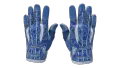 ★ Sport Gloves | Amphibious (Factory New)