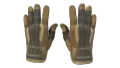 ★ Sport Gloves | Arid (Minimal Wear)
