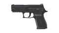 P250 | Small Game (Battle-Scarred)