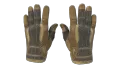 ★ Sport Gloves | Arid (Field-Tested)