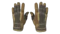 ★ Sport Gloves | Arid (Field-Tested)