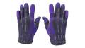 ★ Sport Gloves | Pandora's Box (Well-Worn)