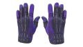 ★ Sport Gloves | Pandora's Box (Well-Worn)