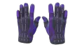 ★ Sport Gloves | Pandora's Box (Well-Worn)