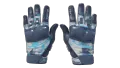 ★ Moto Gloves | Cool Mint (Factory New)