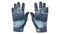 ★ Moto Gloves | Cool Mint (Factory New)