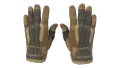 ★ Sport Gloves | Arid (Minimal Wear)
