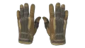 ★ Sport Gloves | Arid (Field-Tested)