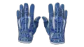 ★ Sport Gloves | Amphibious (Factory New)
