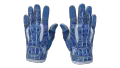 ★ Sport Gloves | Amphibious (Factory New)