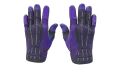 ★ Sport Gloves | Pandora's Box (Well-Worn)