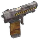 Skin's image
