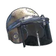 Skin's image
