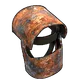 Skin's image