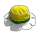 Skin's image