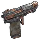 Skin's image